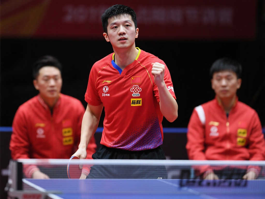 体系建立起 体系建立起