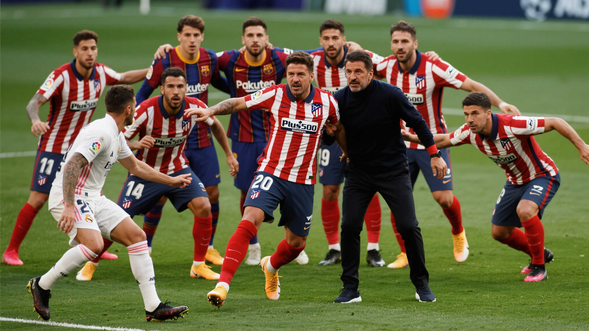 为专业的指 为专业的指